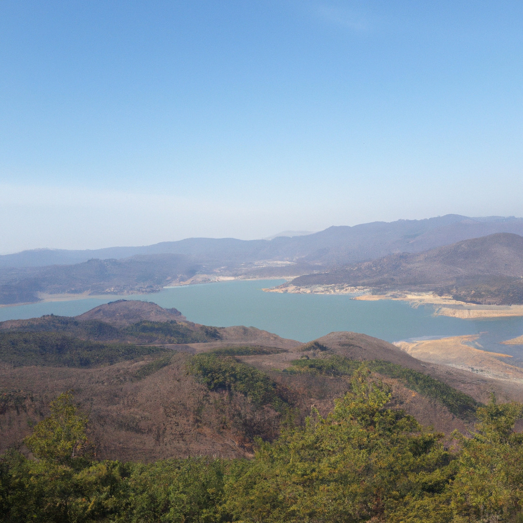 냉동식품 해동법, 전자레인지 없이 빠르게 해동하는 팁