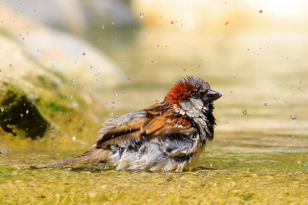 bathroom ventilation fan running after shower steam