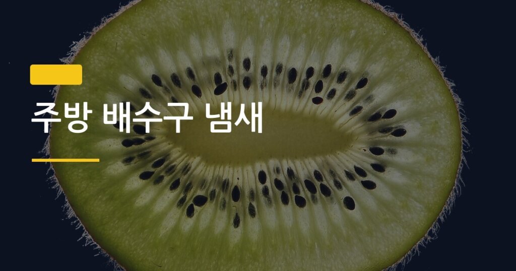 주방 배수구 냄새, 원인 하나만 잡으면 3일 안에 없어진다