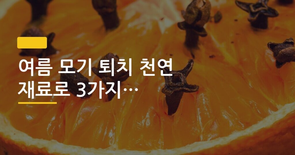 여름 모기 퇴치 천연 재료로 3가지 만든 후기