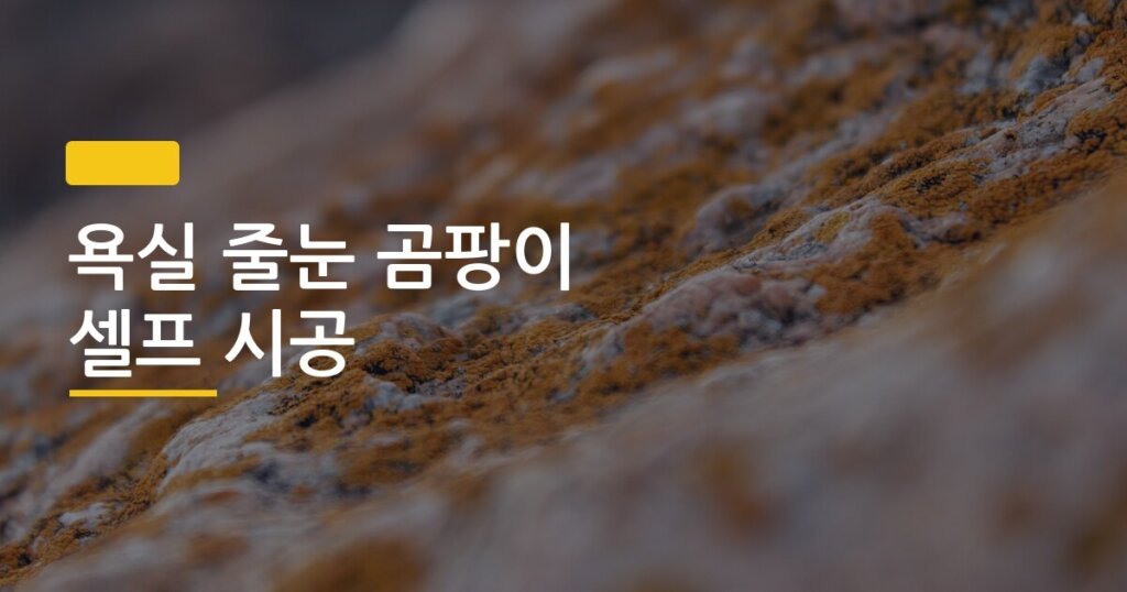 욕실 줄눈 곰팡이 셀프 시공, 3년 묵은 검은 얼룩 내가 직접 없앤 전후 비교 후기