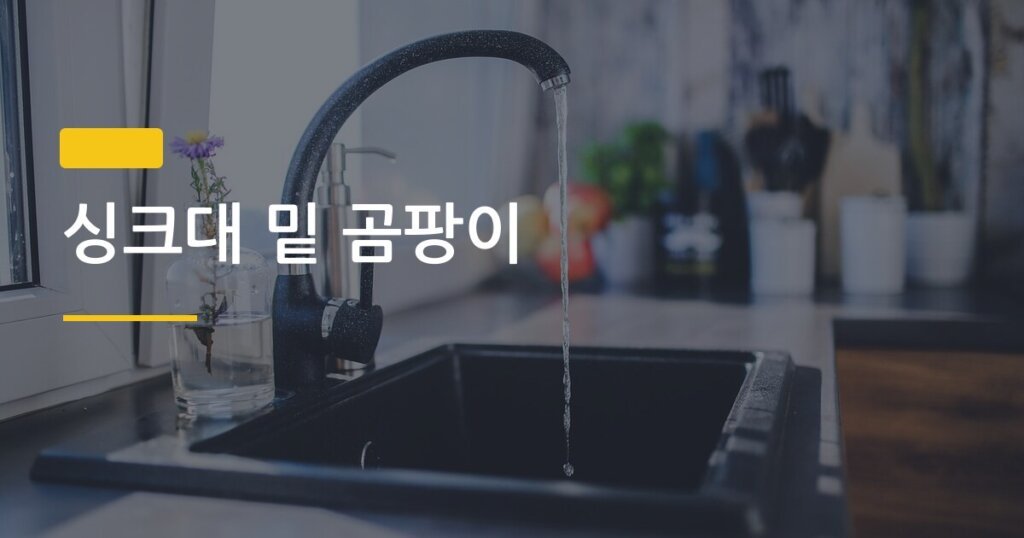 싱크대 밑 곰팡이, 발견 즉시 이 순서대로 했더니 두 달째 재발 없음