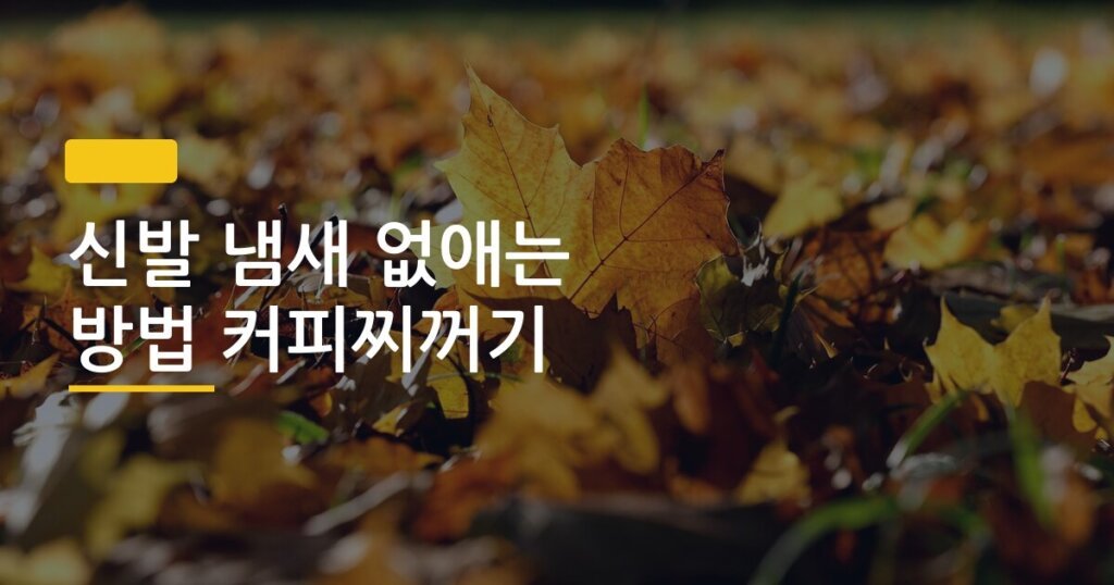 신발 냄새 없애는 방법 커피찌꺼기, 2주 직접 써봤더니 이 결과가 나왔습니다