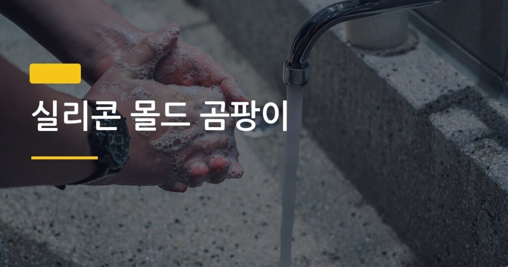 실리콘 몰드 곰팡이, 생기기 전에 잡는 5가지 관리 습관