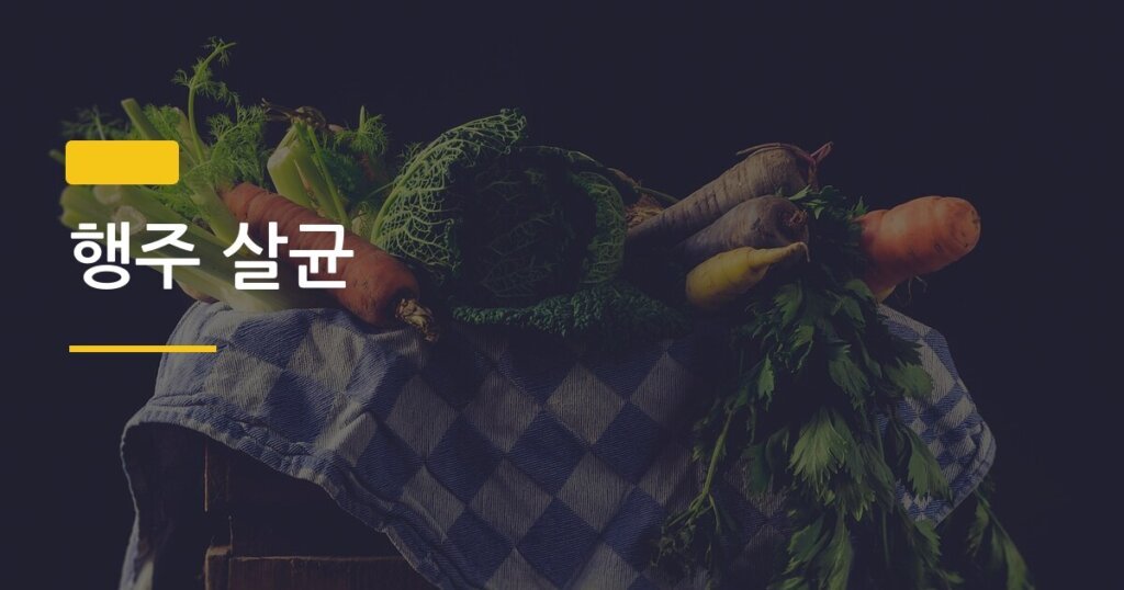 행주 살균, 삶지 않아도 완벽하게 되는 현실적인 3가지 방법