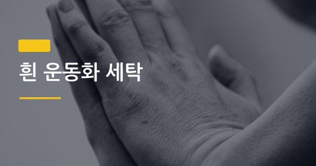 흰 운동화 세탁, 누렇게 변하지 않는 진짜 이유와 3단계 세탁법