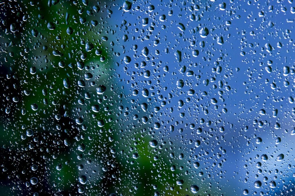 close-up of window screen mesh with small gap