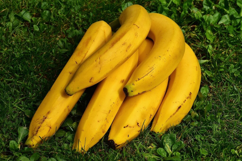 fruit flies hovering over ripe banana on kitchen counter