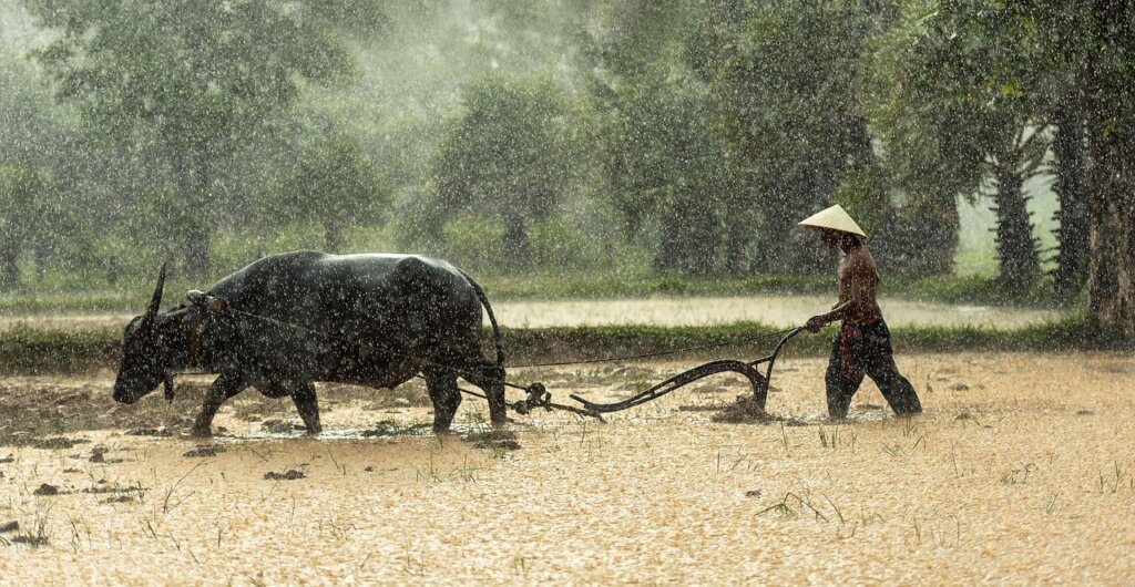 eligibility checklist for basic livelihood security