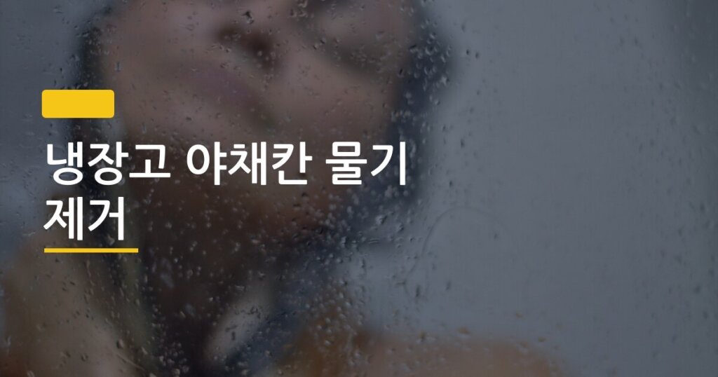 냉장고 야채칸 물기 제거, 신문지 vs 키친타월 뭐가 더 오래 싱싱하게 버텨줄까