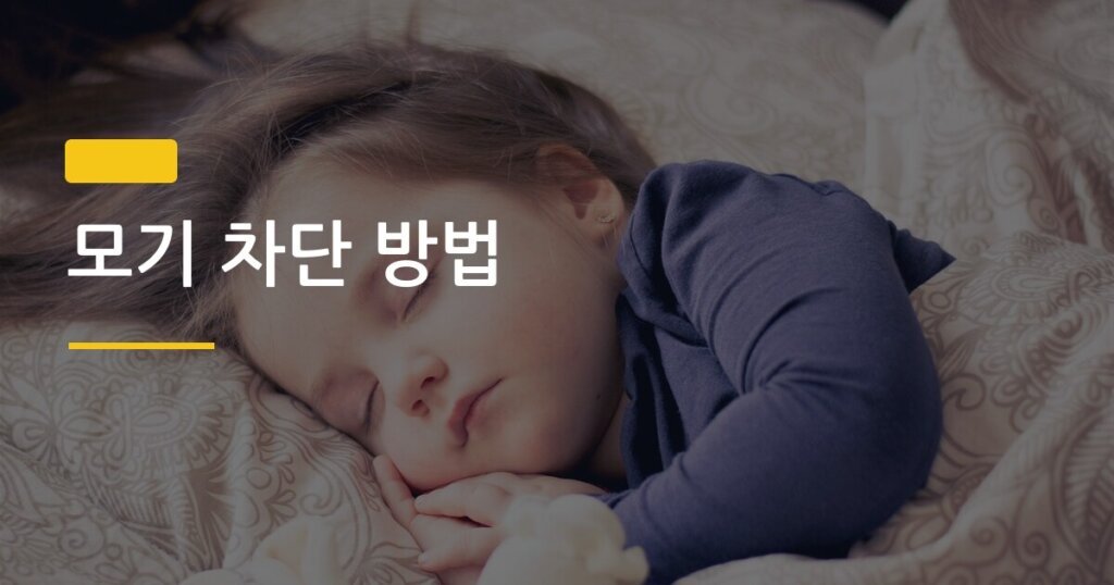 모기 차단 방법, 모기장 없이도 여름밤 지키는 현실 꿀팁 5가지