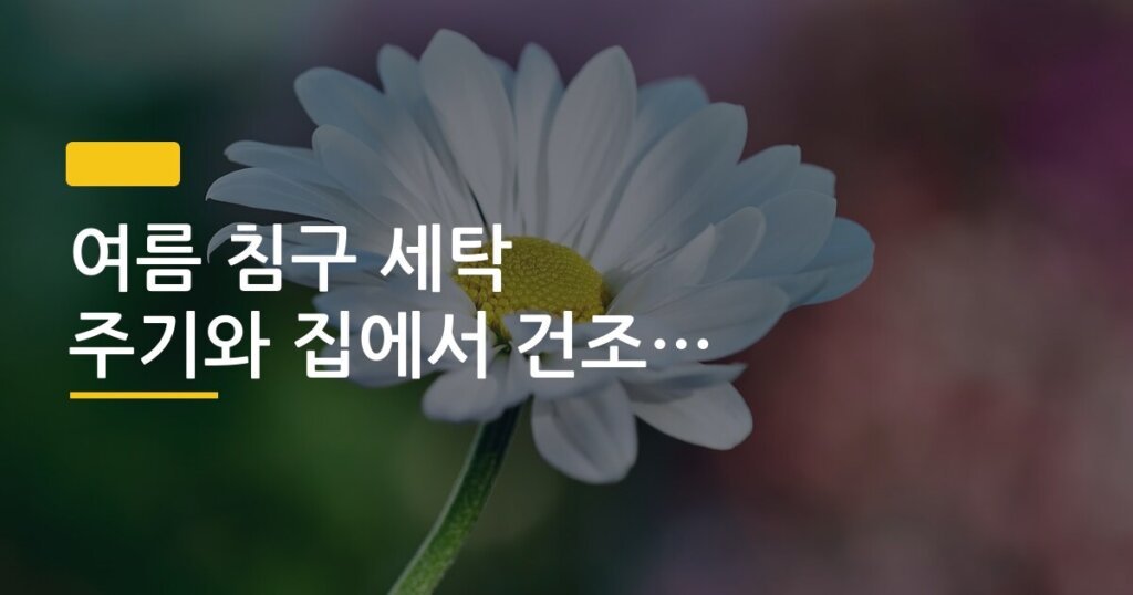 여름 침구 세탁 주기와 집에서 건조하는 방법