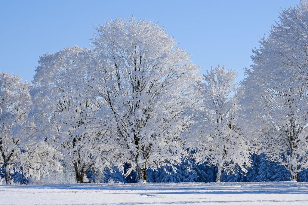 winter energy cost reduction with voucher in Korean home