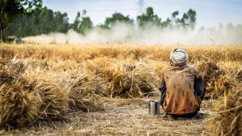 farmer checking farmland area measurement document