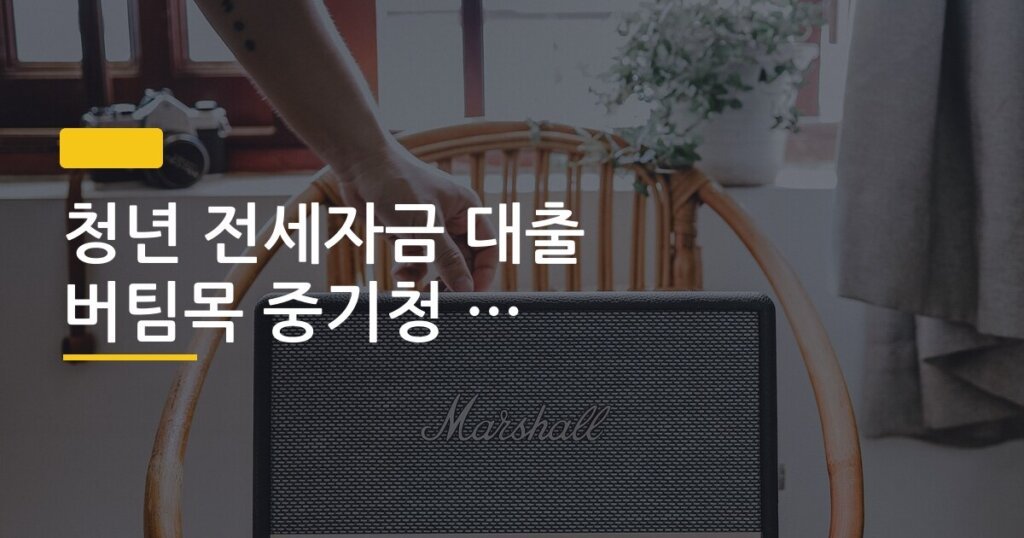 청년 전세자금 대출 버팀목 중기청 차이 비교 정리, 내 상황엔 어떤 게 맞을까