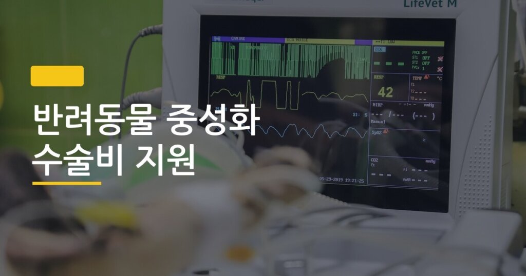반려동물 중성화 수술비 지원, 지역별 신청 방법 총정리 &mdash; 우리 동네는 얼마까지 받을 수 있을까
