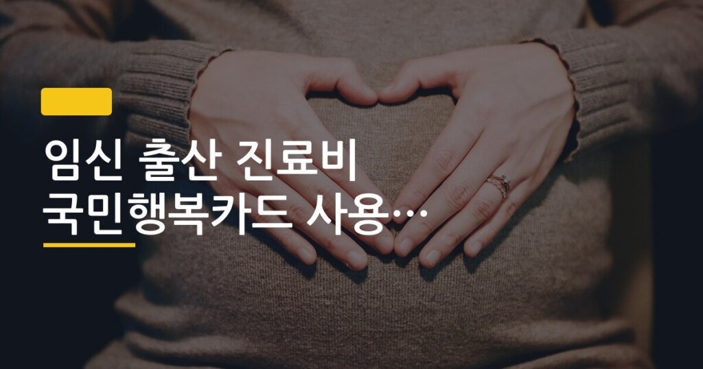 임신 출산 진료비 국민행복카드 사용처 한도 정리